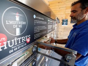 Bukan Minuman atau Mie Instan, Mesin Ini Khusus Menjual Tiram Segar