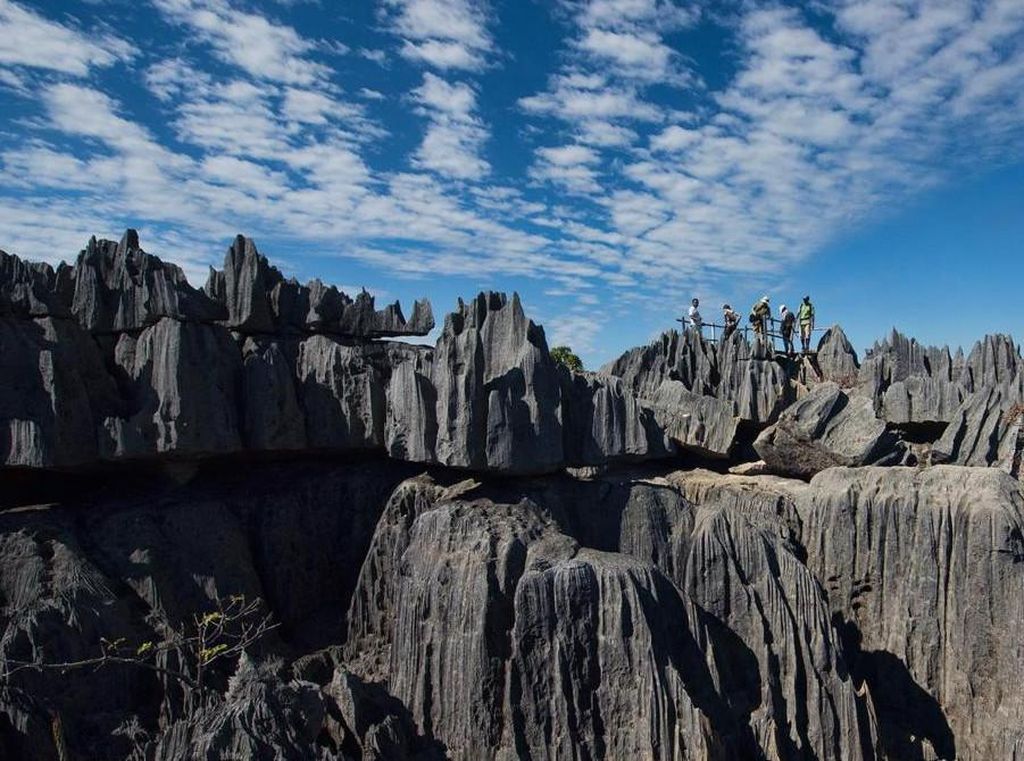BUMN RI Keroyokan Investasi Rp 4,9 Triliun di Madagaskar BUMN RI Keroyokan Investasi Rp 4,9 Triliun di Madagaskar