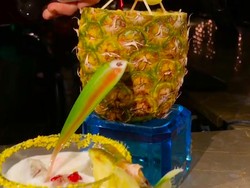 Unik! Cocktail Ini Disajikan dari Dispenser Nanas Asli