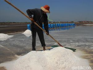 Pasokan Lancar, Kok Harga Garam Masih Mahal? Pasokan Lancar, Kok Harga Garam Masih Mahal?
