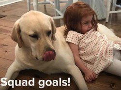 Begini Jadinya Kalau si Kecil Me-makeup Hewan Peliharaannya