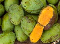 Mangga dan Manggis dari Jabar Bidik Pasar Jepang