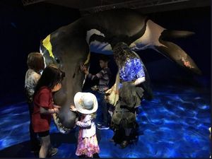 Bocah Ini Bikin Salah Satu Museum Terbaik di London Terkesan