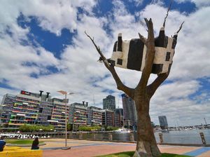 Patung Nyeleneh: Sapi Nyangkut di Pohon