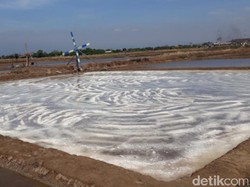 Sulsel Punya 1.600 Ha Lahan untuk Pengembangan Ladang Garam