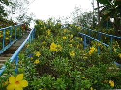 Kebun Raya di Tengah Indonesia-Malaysia