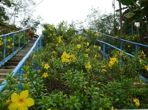 Kebun Raya di Tengah Indonesia-Malaysia Kebun Raya di Tengah Indonesia-Malaysia