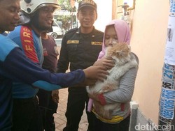 Dicibir Soal Kucingnya Dievakuasi Command Center, Ini Kata Ocha