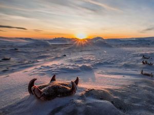 Foto: Kutub Selatan yang Belum Pernah Kamu Lihat