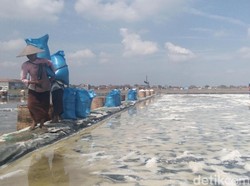 Produksi Garam Lokal Menumpuk Sejak Awal Agustus