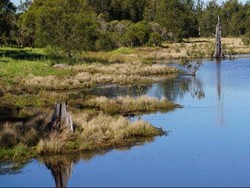 Ancaman Kenaikan Permukaan Laut 80 Tahun Mendatang