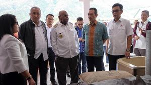 Kementerian BUMN Pantau Toko Semen di Papua
