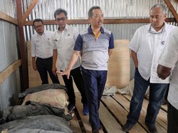 Dulu Semen di Papua Rp 2 Juta/Sak, di Era Jokowi Rp 500 Ribu/Sak