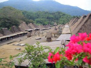 Ini Desa Cantik di NTT