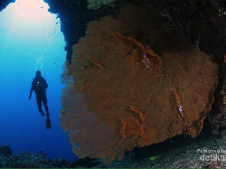 Festival Pesona Bunaken 2017 Diprediksi Gaet Investor
