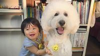 Foto: Gemesin Banget! Kedekatan Balita Sama Anjing Pudelnya
