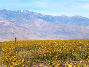 Foto: Tempat Terpanas di Bumi Bisa Berwarna-warni