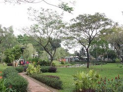 Piknik Akhir Pekan di Jakarta Selatan