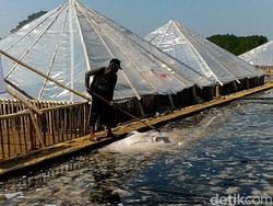 Garam Prisma Jadi Solusi Cerdas Mengatasi Kelangkaan Garam