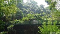 Segarnya Hutan Kota Babakan Siliwangi Bandung
