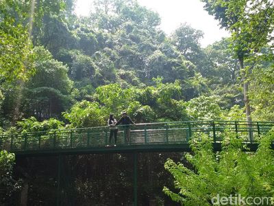 Segarnya Hutan Kota Babakan Siliwangi Bandung