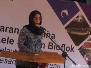 HUT RI ke-72, Menteri Susi Ingin Tenggelamkan Kapal Pencuri Ikan HUT RI ke-72, Menteri Susi Ingin Tenggelamkan Kapal Pencuri Ikan