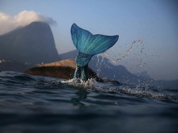 Kisah Putri Duyung Menurut Islam, Pernah Diceritakan dalam Kitab Ulama