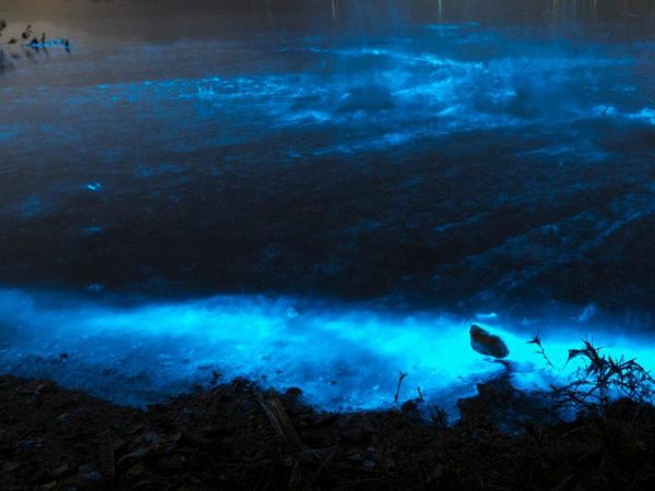 Foto: Fenomena Lautan Bercahaya