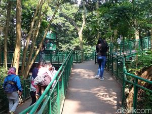 Menikmati Suasana Hutan di Tengah Kota Bandung Menikmati Suasana Hutan di Tengah Kota Bandung