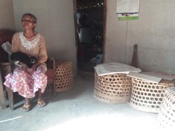 Nenek Manisah, Hidup Sebatangkara Ditemani 7 Ekor Ayam
