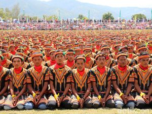 Foto: Saat 12 Ribu Orang Menari Saman Foto: Saat 12 Ribu Orang Menari Saman