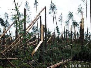 Badai Topan Melanda Polandia, 5 Orang Tewas dan Puluhan Terluka