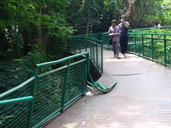 Dear Pemkot Bandung, Pagar Forest Walk Baksil Rusak Bahayakan Pengunjung