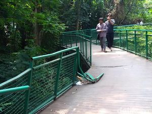 Dear Pemkot Bandung, Pagar Forest Walk Baksil Rusak Bahayakan Pengunjung Dear Pemkot Bandung, Pagar Forest Walk Baksil Rusak Bahayakan Pengunjung