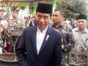Jokowi Laporkan 2 Kuda, KPK Masih Bingung Taruh di Mana