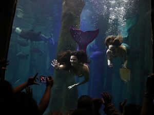 Foto: Mereka Para Putri Duyung Cantik