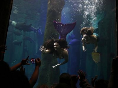Foto: Mereka Para Putri Duyung Cantik