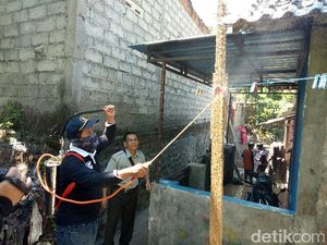 Diserang Ulat Bulu, Ini yang Dilakukan Dinas Pertanian Banyuwangi Diserang Ulat Bulu, Ini yang Dilakukan Dinas Pertanian Banyuwangi