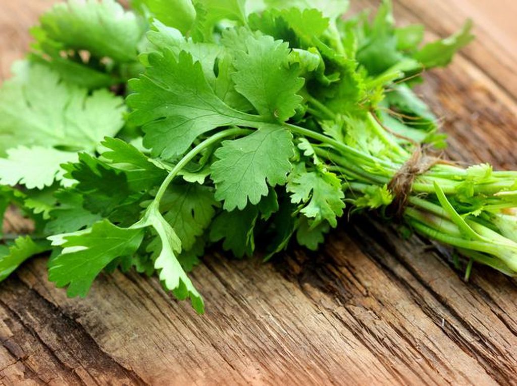 Dibenci Aromanya, Padahal Daun Ketumbar Punya 10 Khasiat Sehat Ini (1) Dibenci Aromanya, Padahal Daun Ketumbar Punya 10 Khasiat Sehat Ini (1)