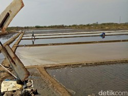 Stok di Pasar Melimpah, Harga Garam Anjlok Jadi Rp 700/Kg