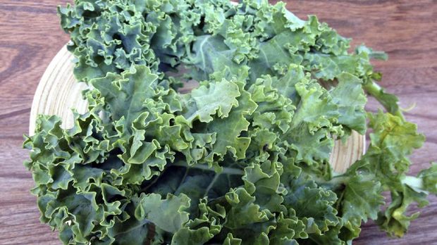 Sayur Kale Sayur Kale