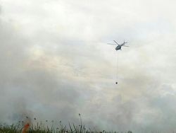 Pemprov Sumsel Belum Naikan Status Siaga Darurat Karhutla, Ini Penyebabnya