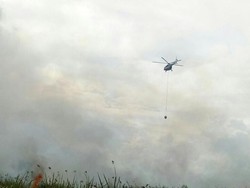 Hingga Maret, Luas Kebakaran Hutan dan Lahan di Riau Capai 2.830 Ha