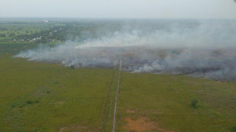 KLHK: 12 Hotspot Terdeteksi di Sumatera dan Jawa