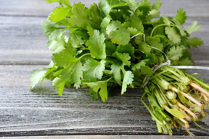 daun ketumbar