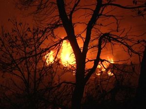 Mengamuk Hebat, Api Bakar Pemukiman dan Hutan di Yunani