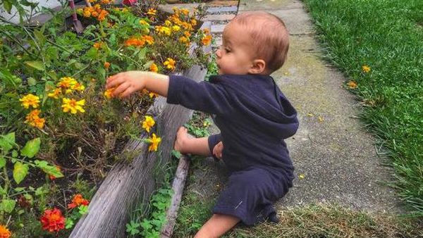 Foto: Begini Jadinya Kalau si Kecil Berkebun
