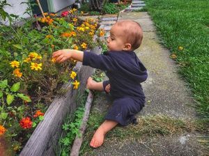 Foto: Begini Jadinya Kalau si Kecil Berkebun