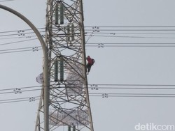 Ada Orang Panjat Menara SUTET di Priok, PLN: Mau Uji Nyali?