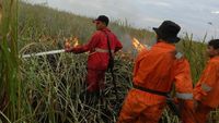Berjibaku Padamkan Api di Kebakaran Hutan Ogan Ilir
